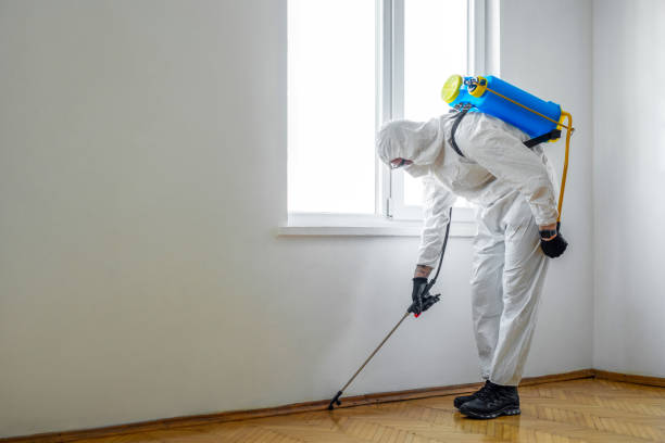 Best Fumigation Services  in Radium Springs, NM